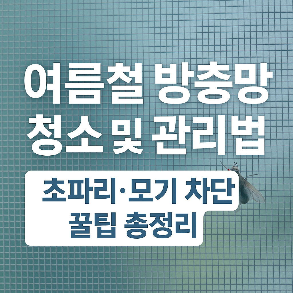 여름철 방충망 청소 및 관리법